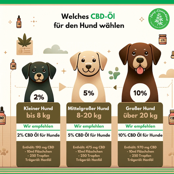 welches-cbd-ol-hund