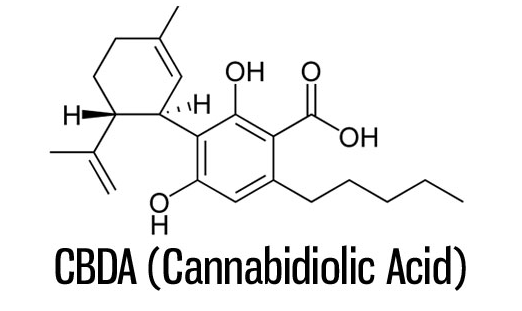 was-ist-cbda-hanf-gesundheit-de